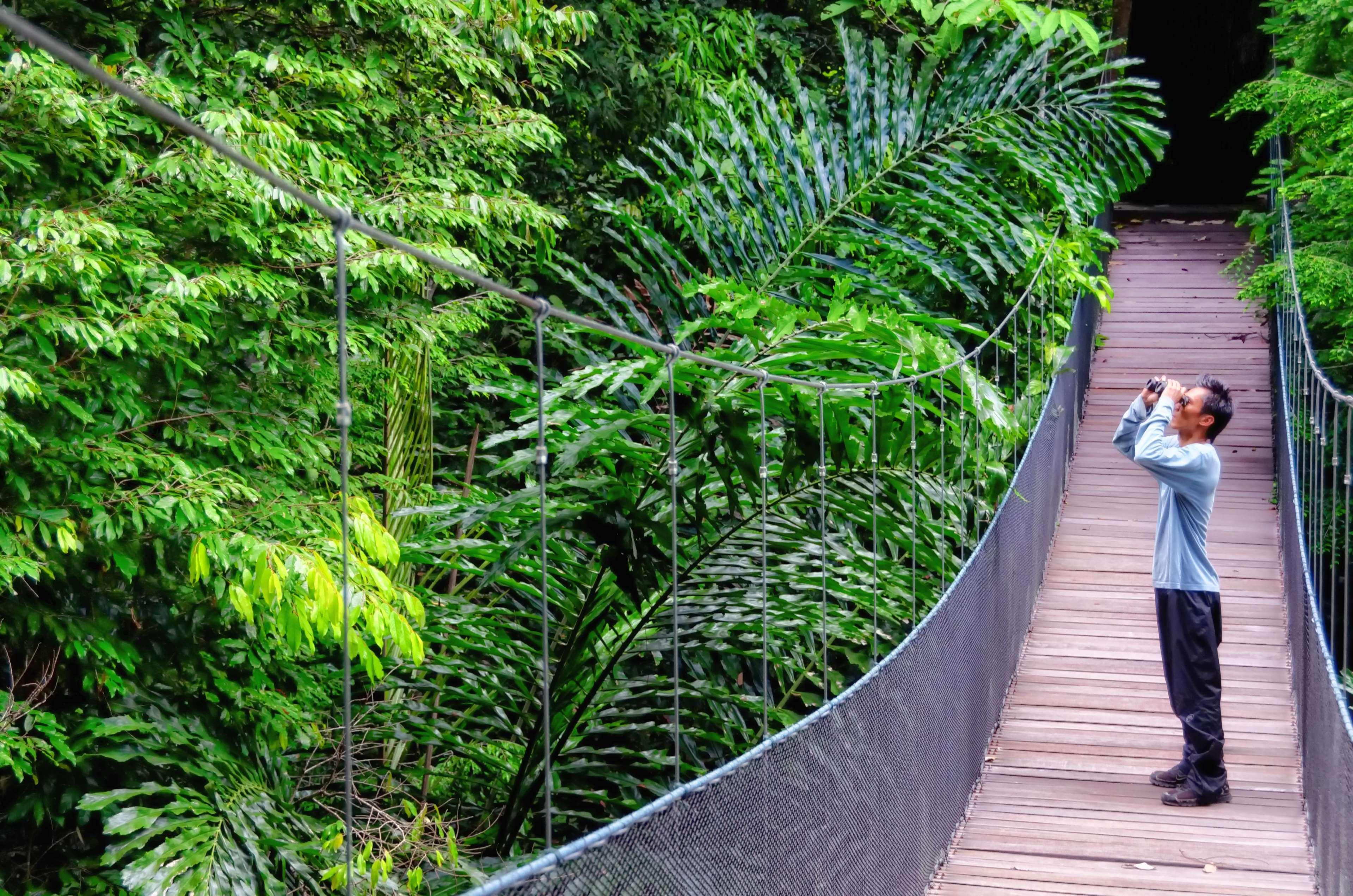 Bunga Raya Island & 5* Gaya Island